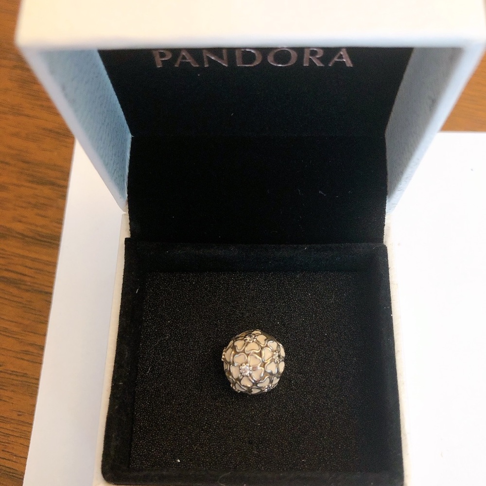 Pandora clip charm